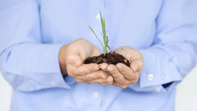 Nachhaltig beschaffen – mit Blick auf Umwelt, Soziales und Wirtschaftlichkeit