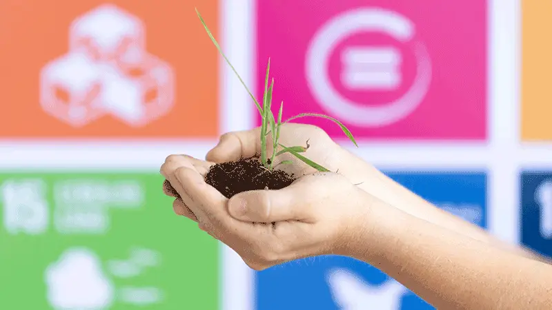 Nachhaltigkeit in der Kreislaufwirtschaft